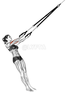 Suspension Arm Curl