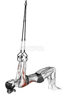 Suspension Bent knee Inverted Row