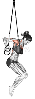 Suspension Chest Dip demonstration