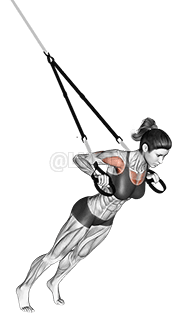 Thumbnail for the video of exercise: Suspension Chest Press