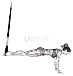 Suspension Mountain Climber