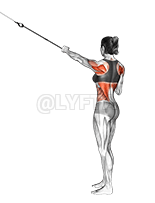 Suspension Power Pull