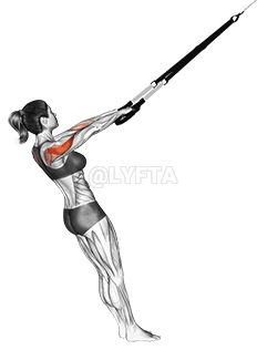 Suspension Rear Delt Row demonstration