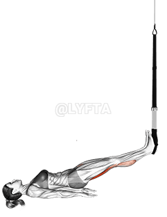 Suspension Straight Hip Leg Curl