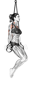 Suspension Triceps Dip demonstration