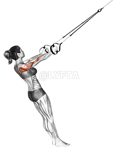 Suspension Middle Row demonstration