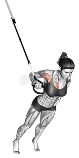 Thumbnail for the video of exercise: Einarmige Brustpresse mit Aufhängung