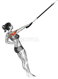 Suspension Single Arm Rear Delt Row demonstration