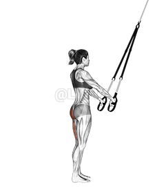 Suspension Single Leg Deadlift demonstration