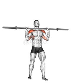 Image of Barbell Standing Military Press 