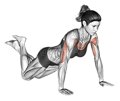 Hacer subir demonstration