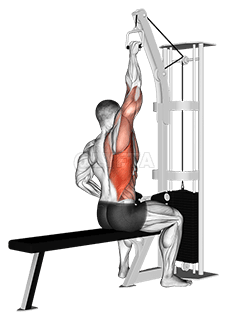 Cable one arm lat pulldown demonstration