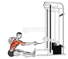 Cable one arm twisting seated row