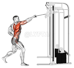 Cable Twisting Standing high Row demonstration
