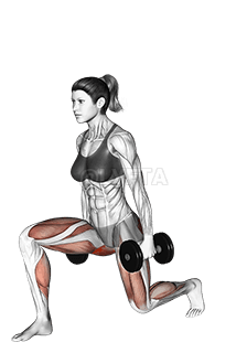 Dumbbell side lunge demonstration
