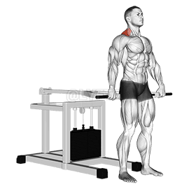 Lever Shrug demonstration