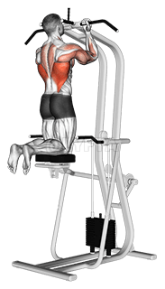 Assisted Close-grip Underhand Chin-up demonstration