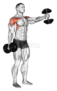 Dumbbell Standing Alternate Vertical Front Raises demonstration