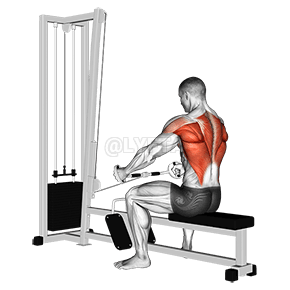 Seated Row demonstration