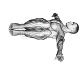 Half Wipers demonstration