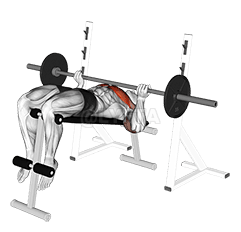 Tekan Bangku Tolak Cengkaman Songsang demonstration