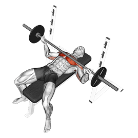 Penekan Bangku Cengkaman Terbalik Lebar demonstration