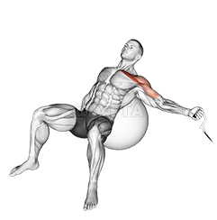 Cable One Arm Incline Fly on Exercise Ball demonstration