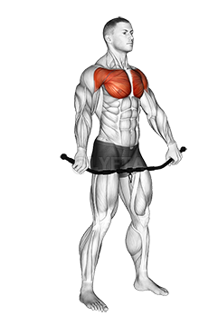 Bent-Over Chest Stretch, Chest Stretch, Pectoralis Major, Pectoralis  Muscles and more