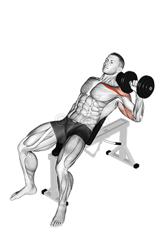 Dumbbell Incline One Arm Press demonstration
