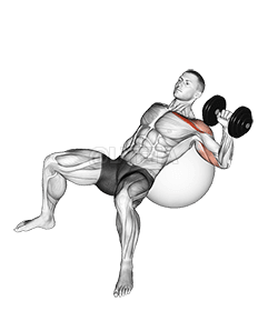 Dumbbell Incline One Arm Press on Exercise Ball demonstration