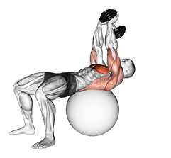 Dumbbell Lying Pullover on Exercise Ball demonstration