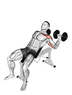 Dumbbell One Arm Incline Chest Press demonstration