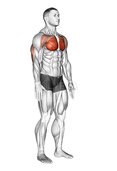 Apretón de pecho isométrico demonstration