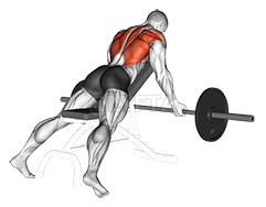 Reverse Grip Incline Bench Row demonstration