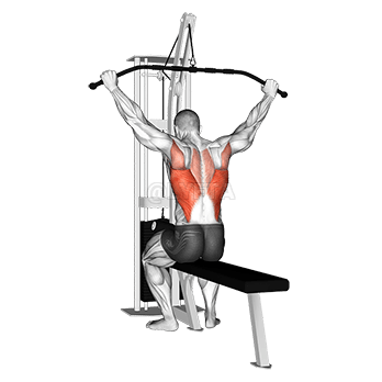 Wide Grip Rear Pulldown Behind Neck demonstration