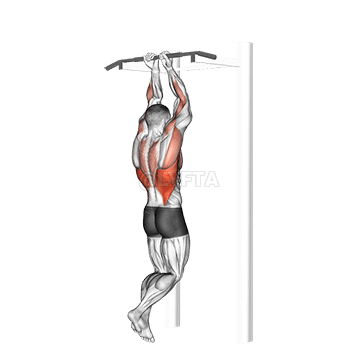 Close Grip Chin-Up demonstration