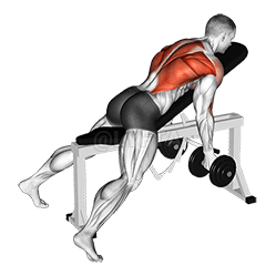 Lying Rear Delt Row demonstration