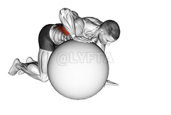 Exercise Ball Lat Stretch demonstration