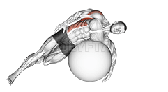 健身球侧躺背阔肌伸展 demonstration