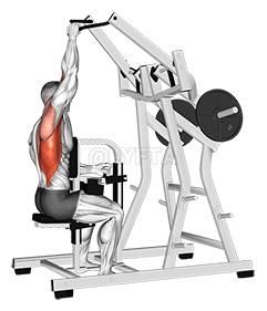 Lever One Arm Lateral Wide Pulldown demonstration