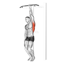 One Handed Hang