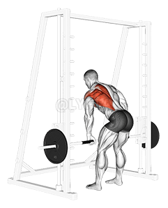 Thumbnail for the video of exercise: Smith Remada com Um Braço