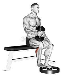 Dumbbell Seated One Leg Calf Raise - Hammer Grip demonstration