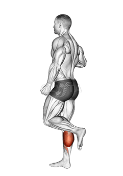 One Leg Floor Calf Raise demonstration