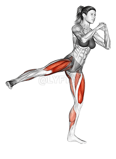 Squat side kick demonstration