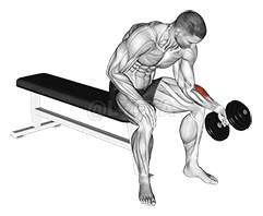 One Arm Seated Neutral Wrist Curl demonstration