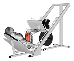 Sled 45 degrees One Leg Press demonstration