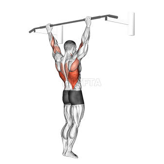 Wide Grip Pull-Up demonstration