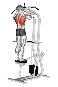 Assisted Standing Pull-up demonstration