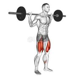 Low Bar Squat